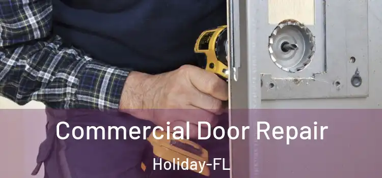 Commercial Door Repair Holiday-FL