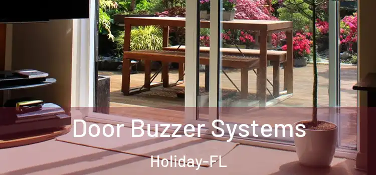Door Buzzer Systems Holiday-FL