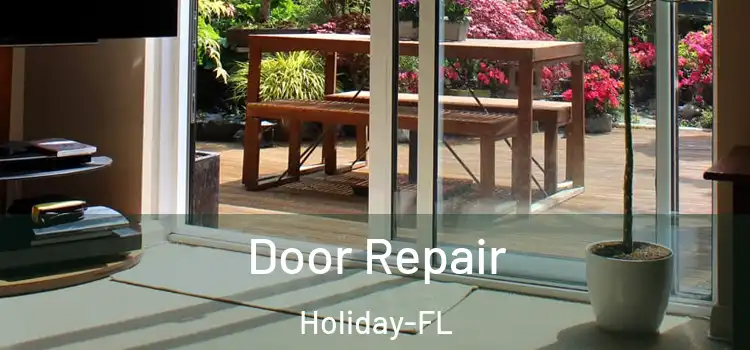 Door Repair Holiday-FL