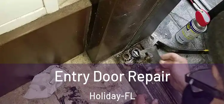 Entry Door Repair Holiday-FL
