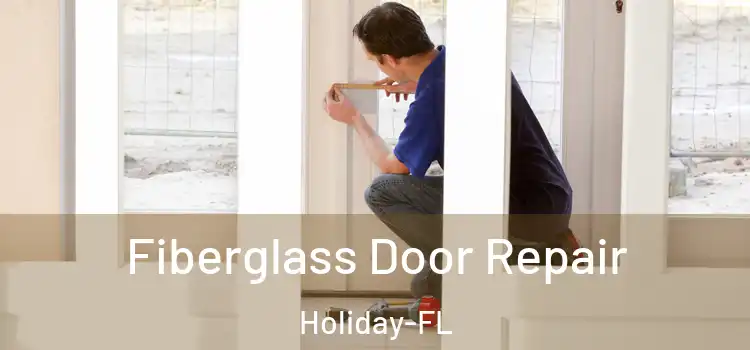 Fiberglass Door Repair Holiday-FL