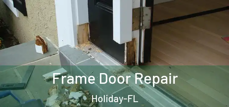 Frame Door Repair Holiday-FL
