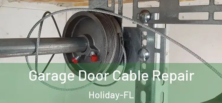 Garage Door Cable Repair Holiday-FL