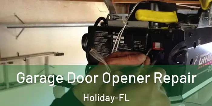 Garage Door Opener Repair Holiday-FL