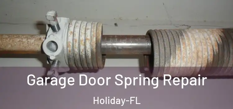Garage Door Spring Repair Holiday-FL