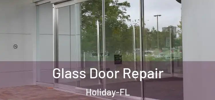 Glass Door Repair Holiday-FL