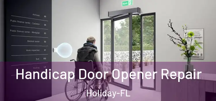 Handicap Door Opener Repair Holiday-FL
