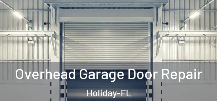 Overhead Garage Door Repair Holiday-FL