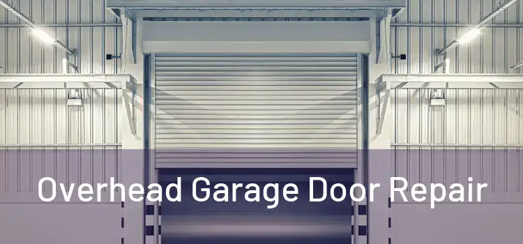 Overhead Garage Door Repair