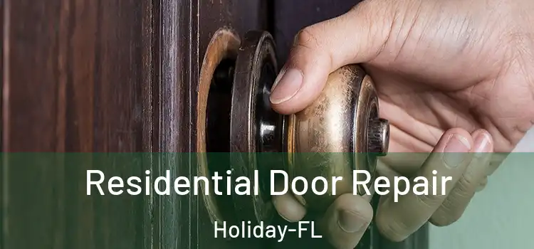 Residential Door Repair Holiday-FL