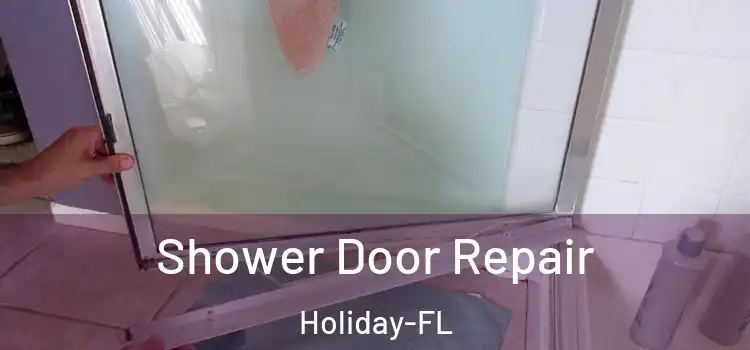 Shower Door Repair Holiday-FL