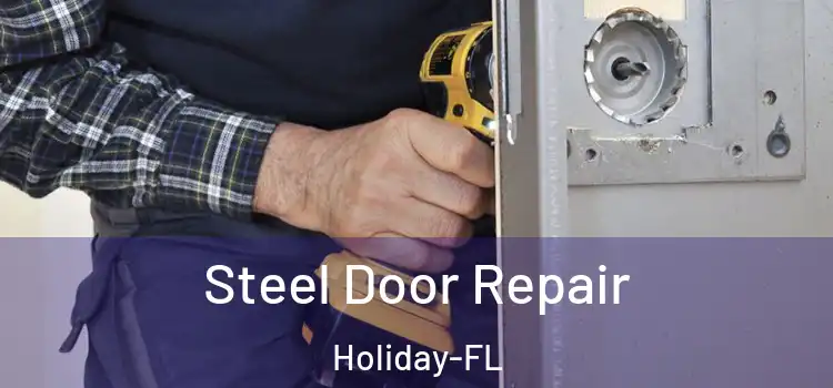 Steel Door Repair Holiday-FL