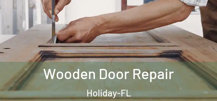 Wooden Door Repair Holiday-FL